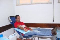 recolha_sangue-2