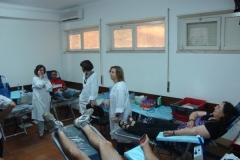 recolha_sangue-3