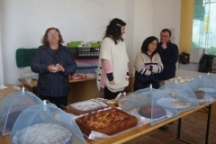 romaria_espirito_santo-2