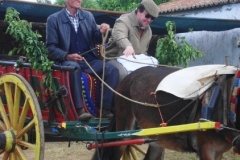 romaria_espirito_santo-3